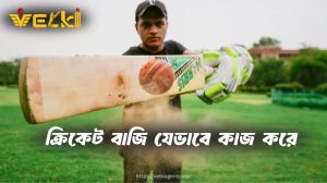 Velki ক্রিকেট বাজি যেভাবে কাজ করে