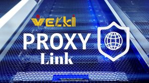 Velki Proxy Link 2026