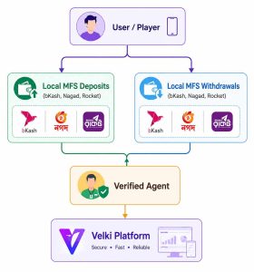 how-velki-transection-system-works